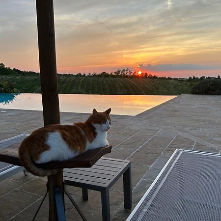 Agriturismo La Rinaldina 파엔차 외부 사진