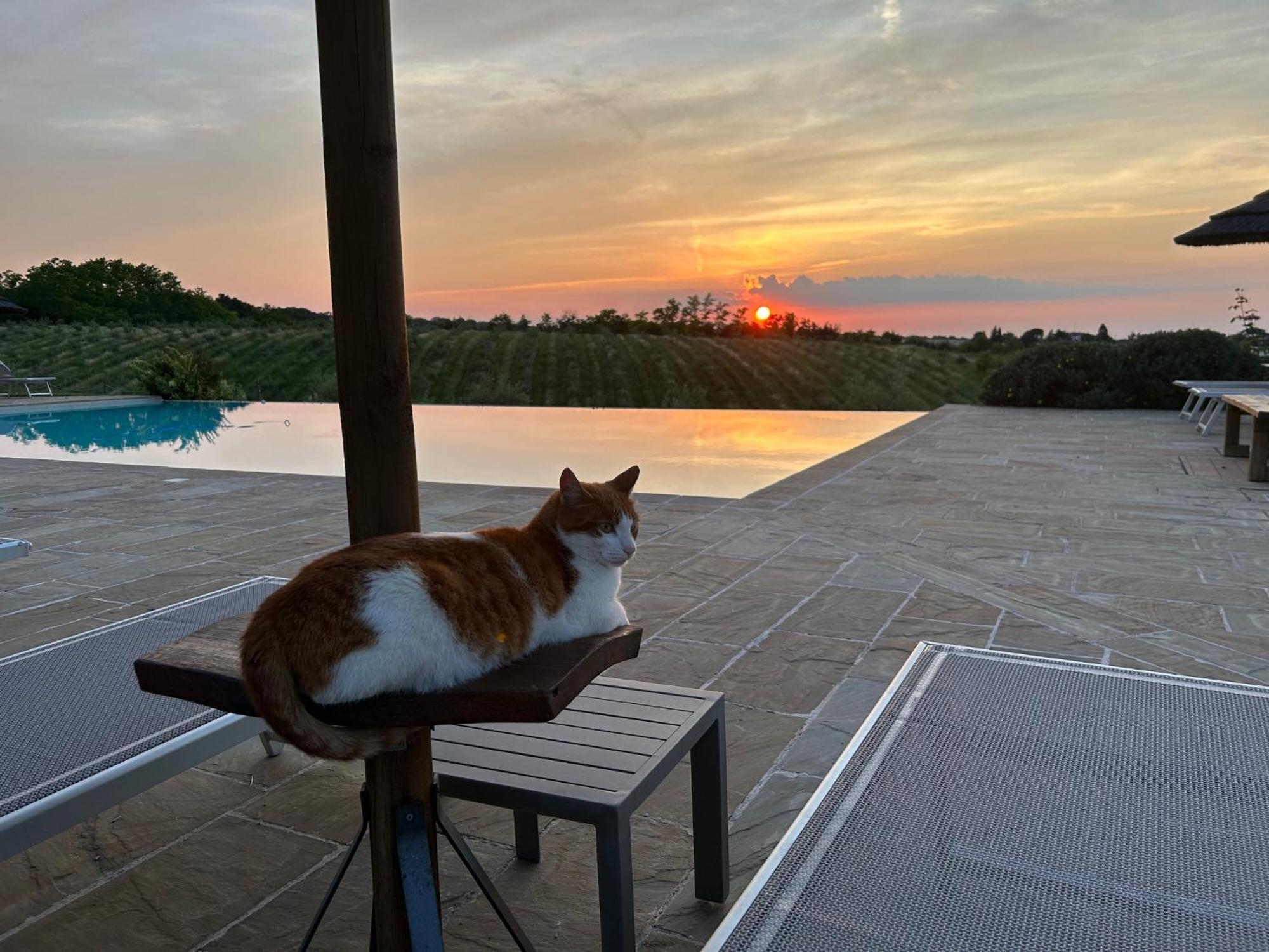 Agriturismo La Rinaldina 파엔차 외부 사진