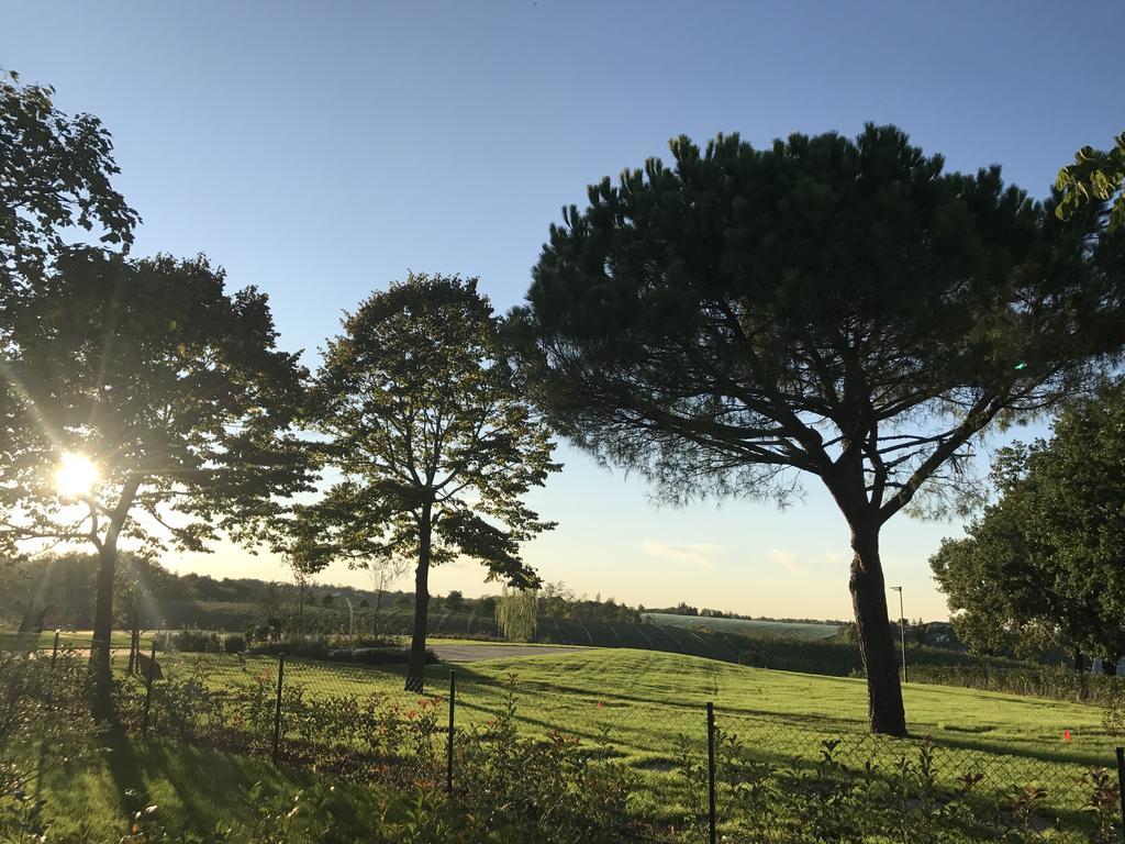 Agriturismo La Rinaldina 파엔차 외부 사진