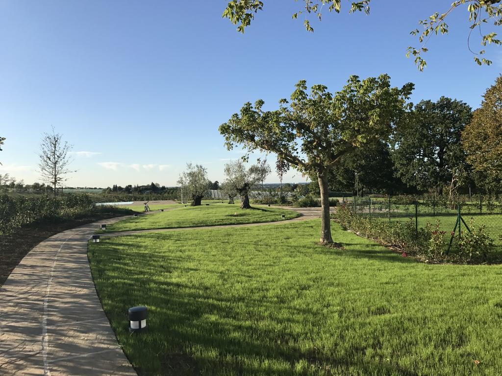 Agriturismo La Rinaldina 파엔차 외부 사진