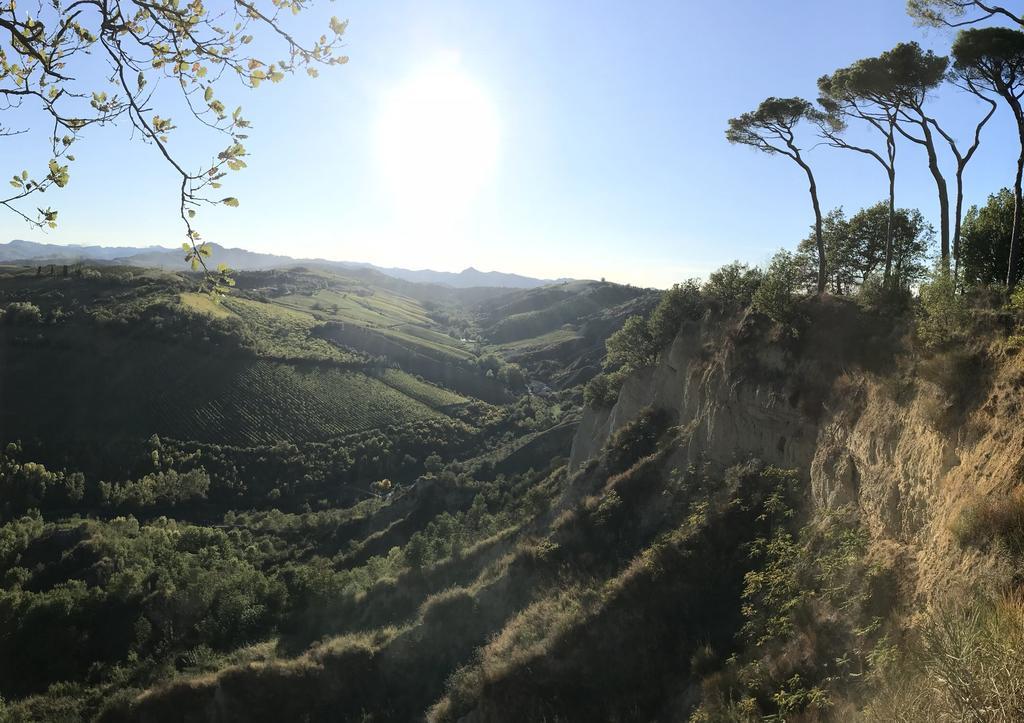 Agriturismo La Rinaldina 파엔차 외부 사진
