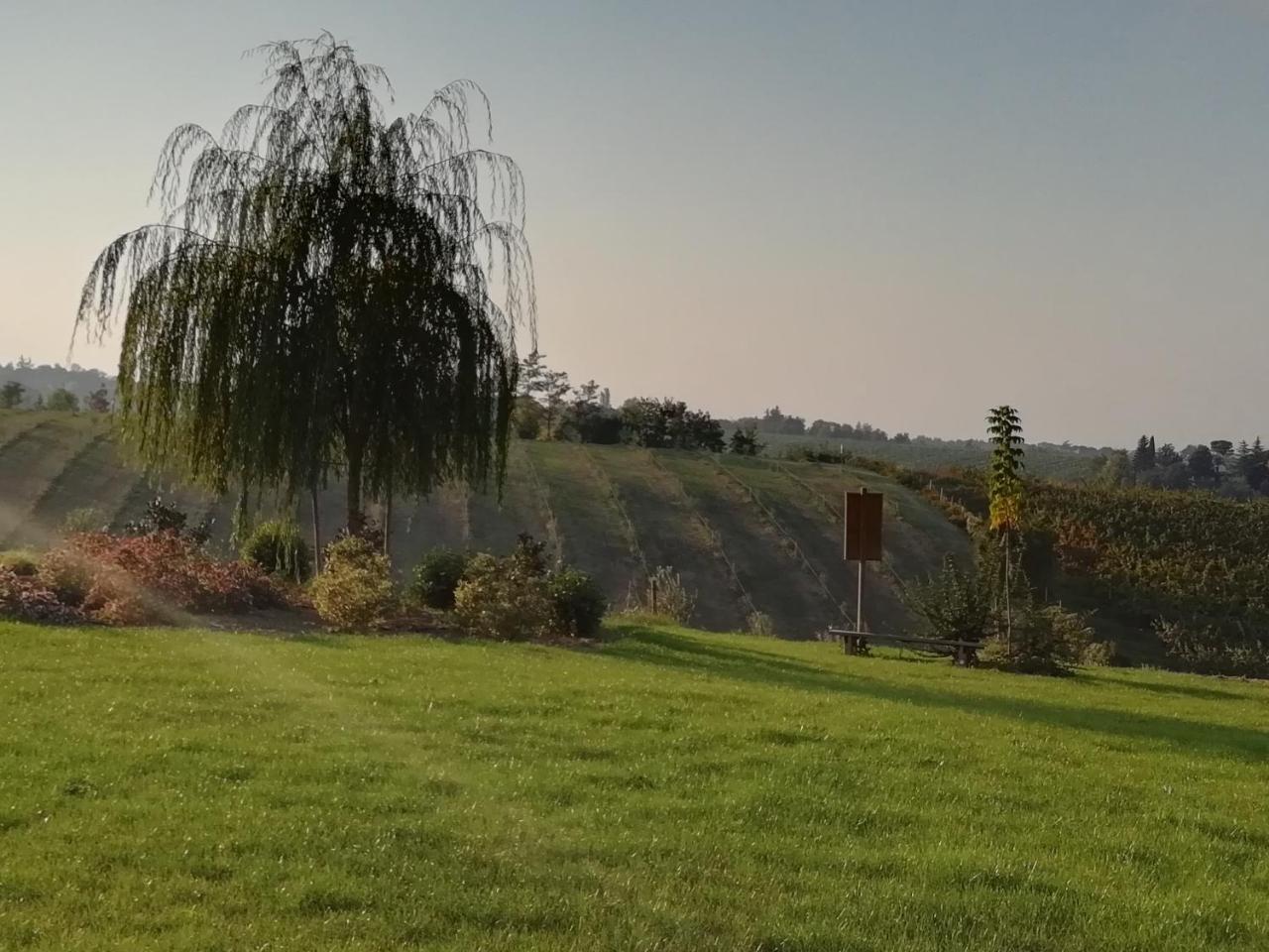 Agriturismo La Rinaldina 파엔차 외부 사진